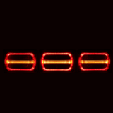 Lucidity Jumbo Rear Combination light with Progressive Indicator and short loom/plug