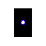 LED 12 Volt Festoon Pair Purple