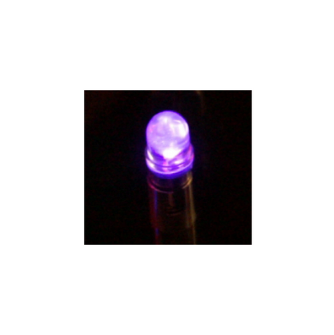 LED Globe 12 Volt Bayonet Purple (Pair)